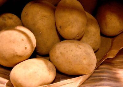 regionale Kartoffeln